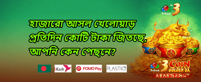 ডেইলি স্পিন রিওয়ার্ড promotion