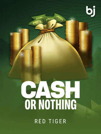 Cash or Nothingpng icon