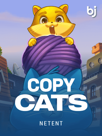 Copy Catspng icon